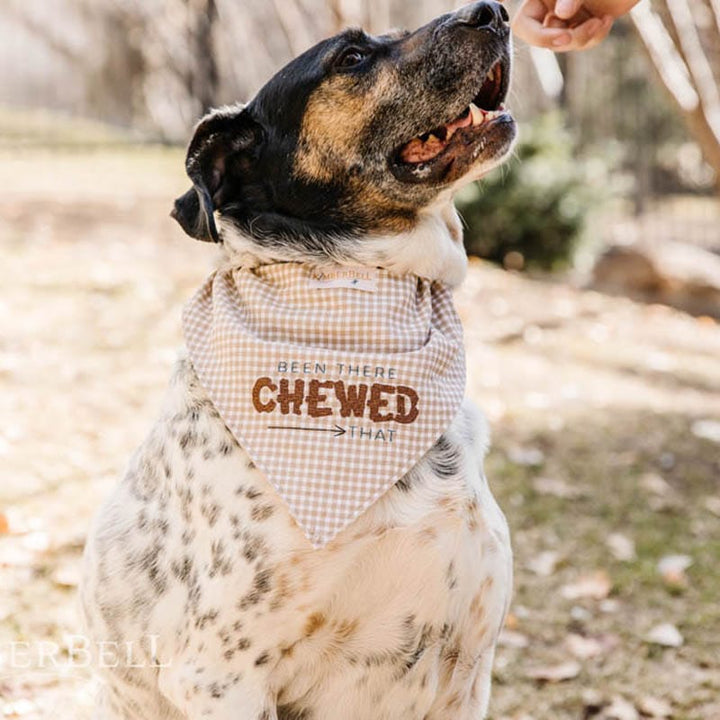 Playful Pet Kerchiefs (Digital Download)