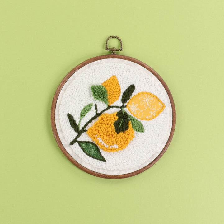 You're the Zest Punch Needle Plus Kit