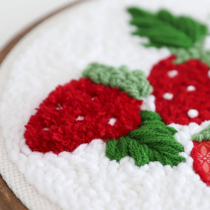 So Berry Happy Punch Needle Plus Kit