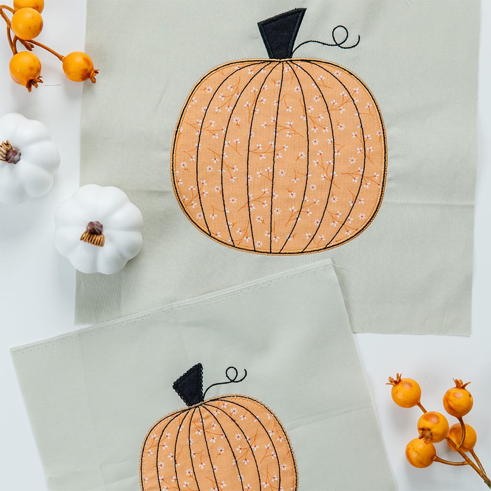 One Hoop Wonders, Vol. 1