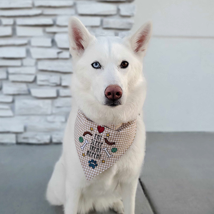 Playful Pet Kerchiefs (Digital Download)