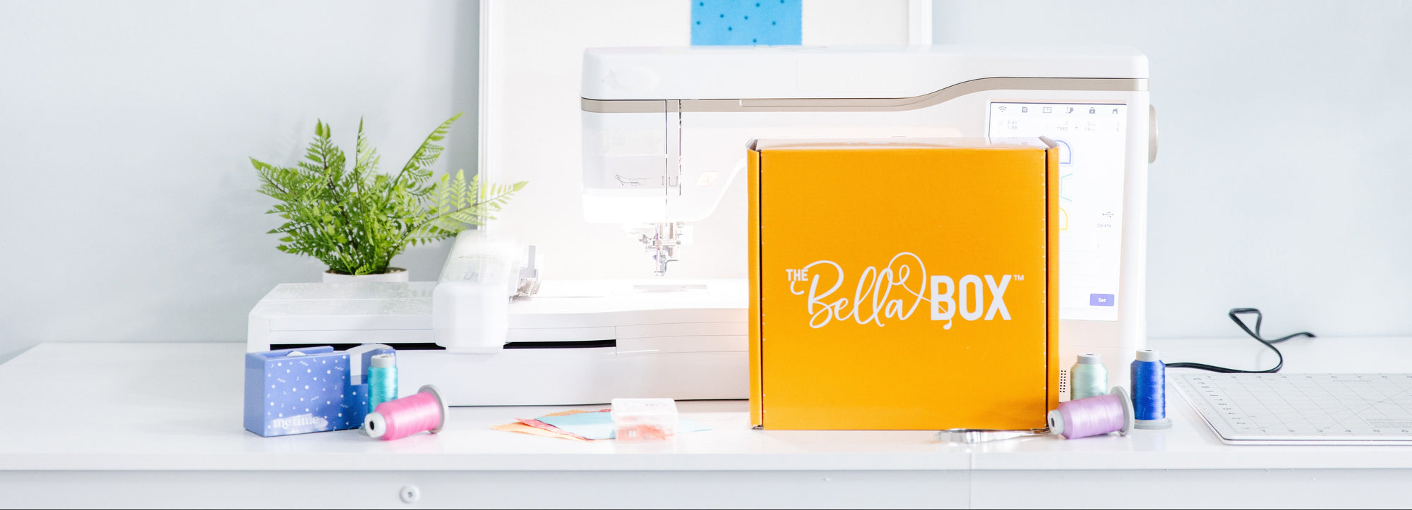 Orange Bella Box on a desk with office supplies and a framed poster in the background.