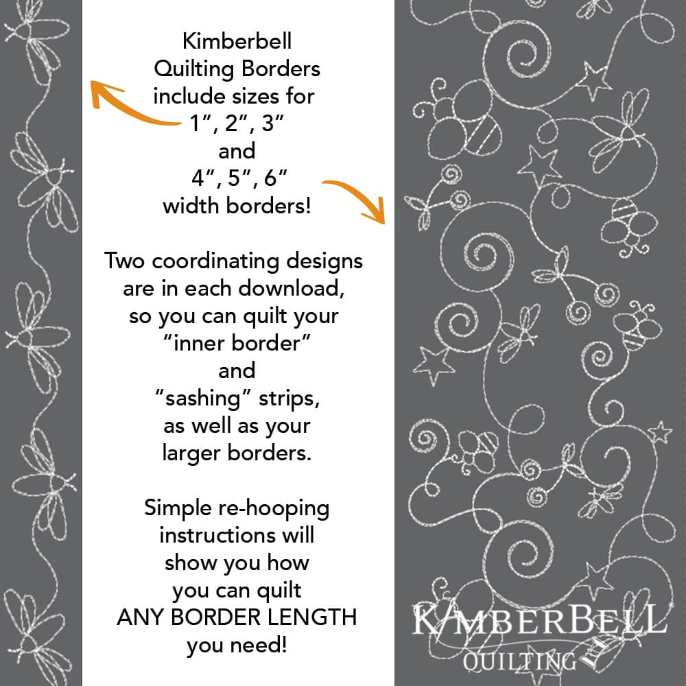 1-kdq041-border-insect-1-featured